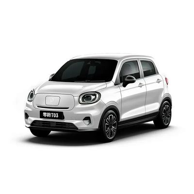 좋은 가격 2023 스피드 EV 미니카 커스터마이즈드 리프 모터 T03 4도어 5석 SUV 카시 구조와 최대 속도는 140km/h 온라인으로