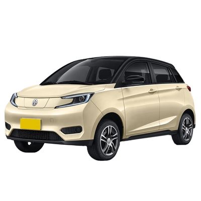 좋은 가격 전기 자동차 2023 중국어 더블 캐비 5석 300km 마일리지 최고 속도 104km/h LED 카메라 천체 싱글 리?? 암흑 수동 온라인으로