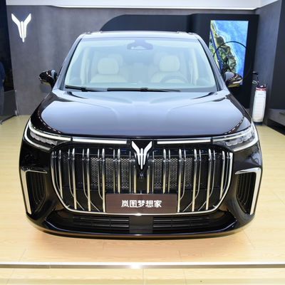 좋은 가격 2024 보야 프리 드리머 왼손 럭셔리 가죽 MPV EV 최대 토크 620Nm 연료 순수 전기 자동차 배터리 자동차 온라인으로