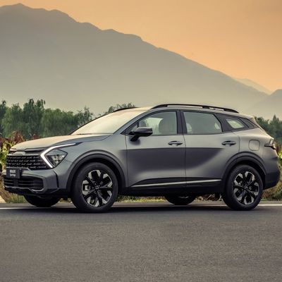 좋은 가격 콤팩트 SUV 자동 가솔린 자동차 연료 차량 자동차 ESC 전자 안정 제어 시스템 예 제압 무게 1000kg-2000kg 온라인으로